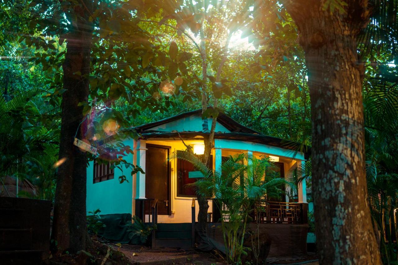 La La Land Resort Goa By Spicy Mango Palolem Luaran gambar