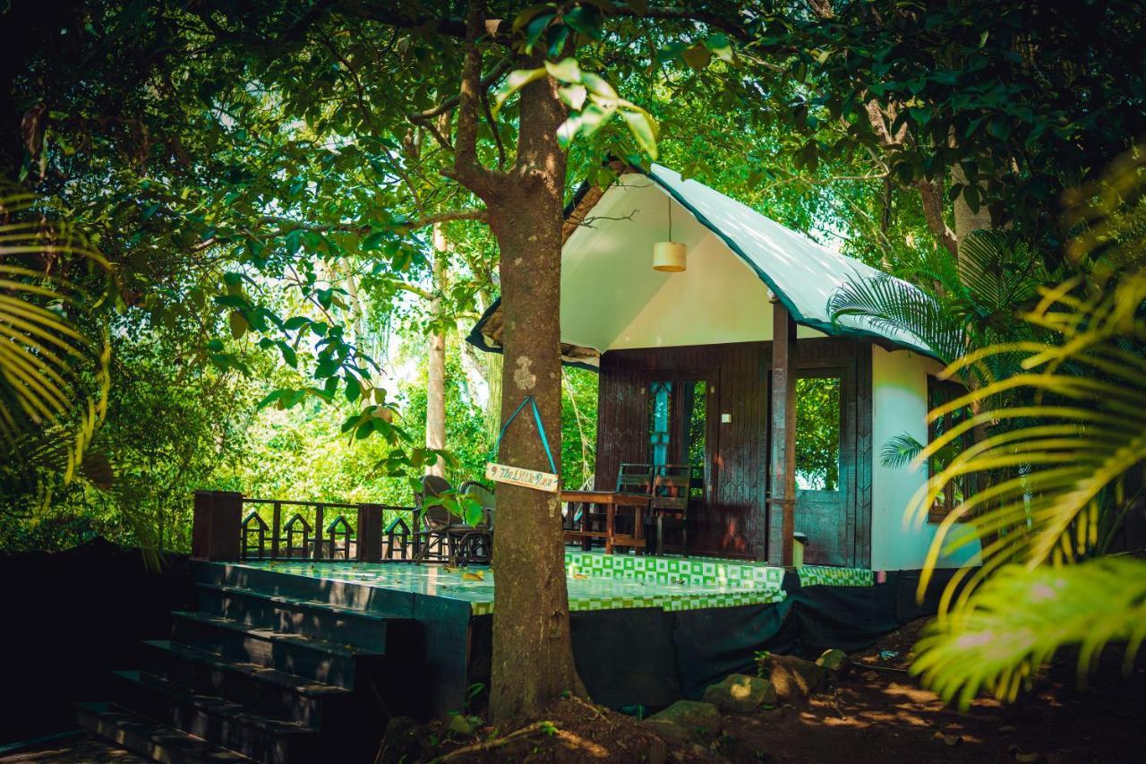 La La Land Resort Goa By Spicy Mango Palolem Luaran gambar